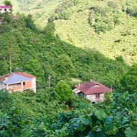 Giresun Güney Köyü Resimleri 14