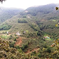 Giresun Güney Köyü Resimleri 15