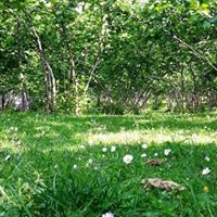 Giresun Güney Köyü Resimleri 3