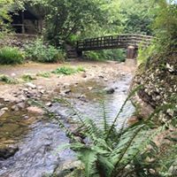 Giresun Güney Köyü Resimleri 4