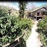 Giresun Güney Köyü Resimleri 5