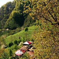 Giresun Güney Köyü Resimleri 8