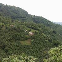 Giresun Hisargeriş Köyü Resimleri 15