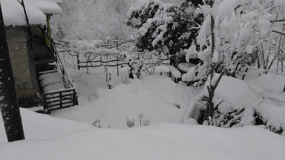 Giresun Hisargeriş Köyü Resimleri 4