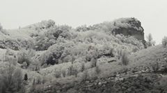 Giresun Hisargeriş Köyü Resimleri 8