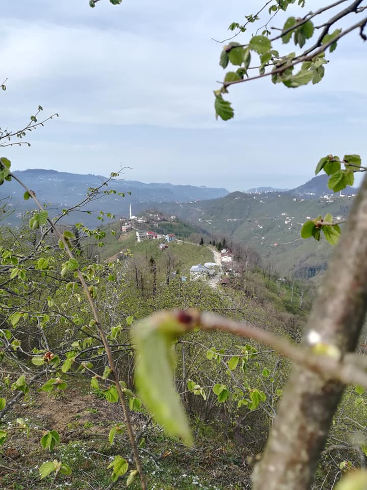 Giresun İncegeriş Köyü Resimleri 3
