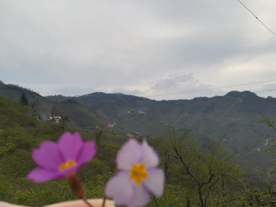 Giresun İncegeriş Köyü Resimleri 4