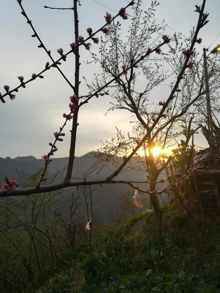 Giresun İncegeriş Köyü Resimleri 6
