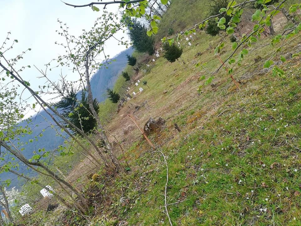 Giresun İncegeriş Köyü Resimleri 7