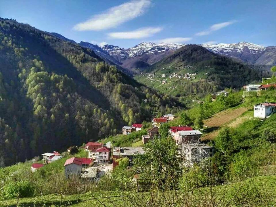 Dernekpazarı Taşçılar Köyü Resimleri 1