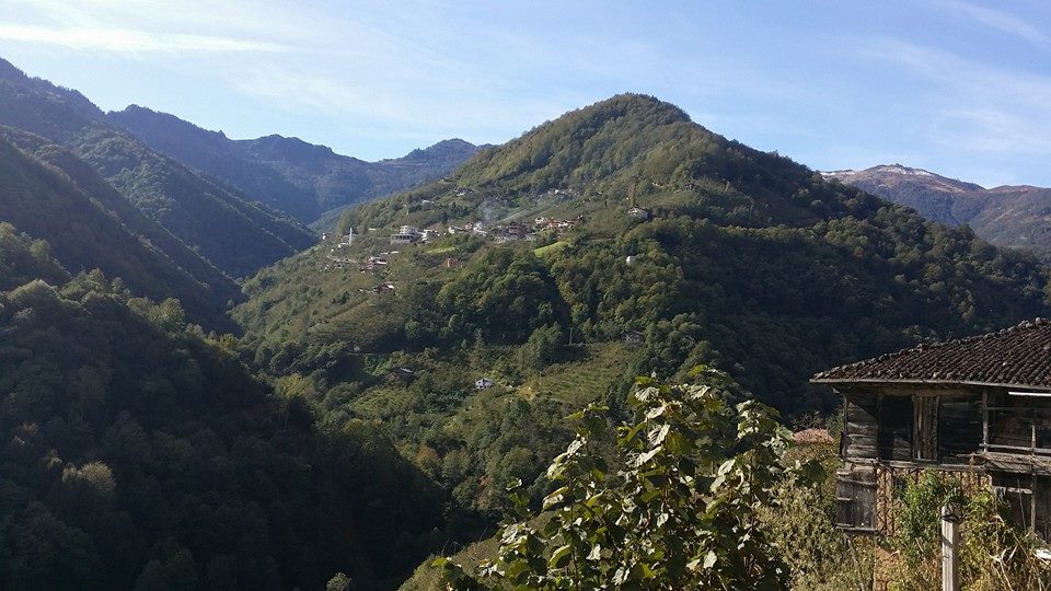 Dernekpazarı Taşçılar Köyü Resimleri 11