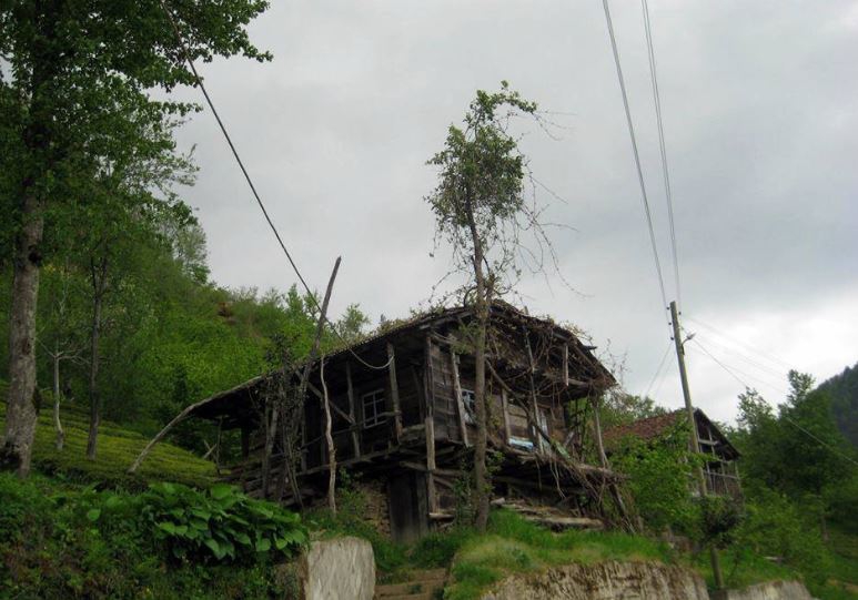 Dernekpazarı Taşçılar Köyü Resimleri 13