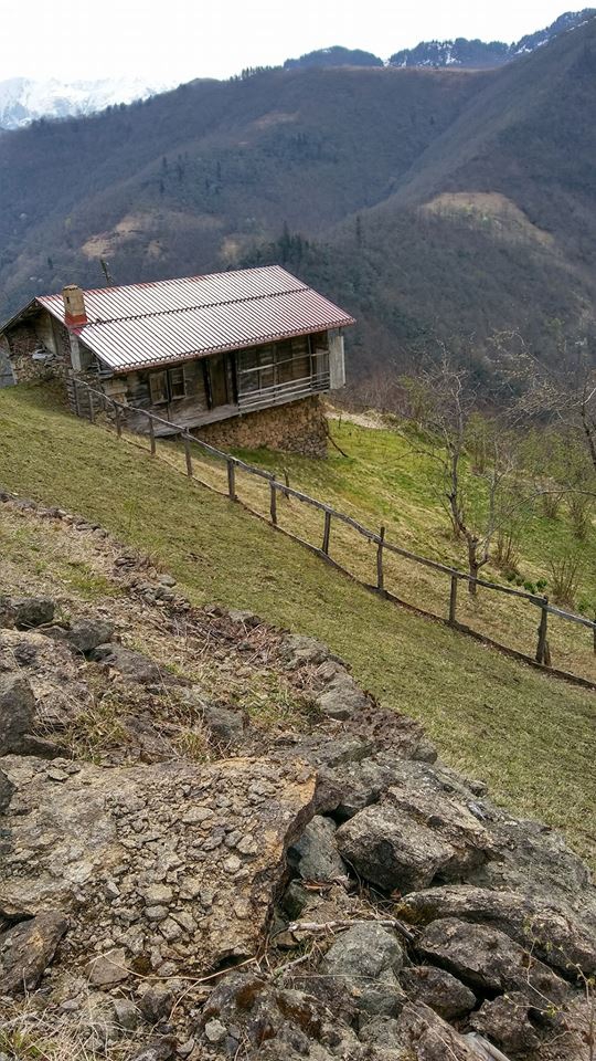 Dernekpazarı Taşçılar Köyü Resimleri 15