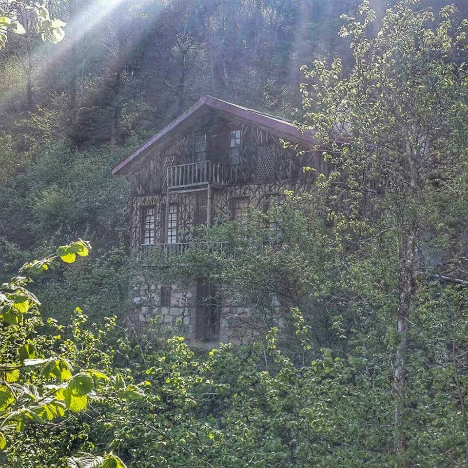 Dernekpazarı Taşçılar Köyü Resimleri 17