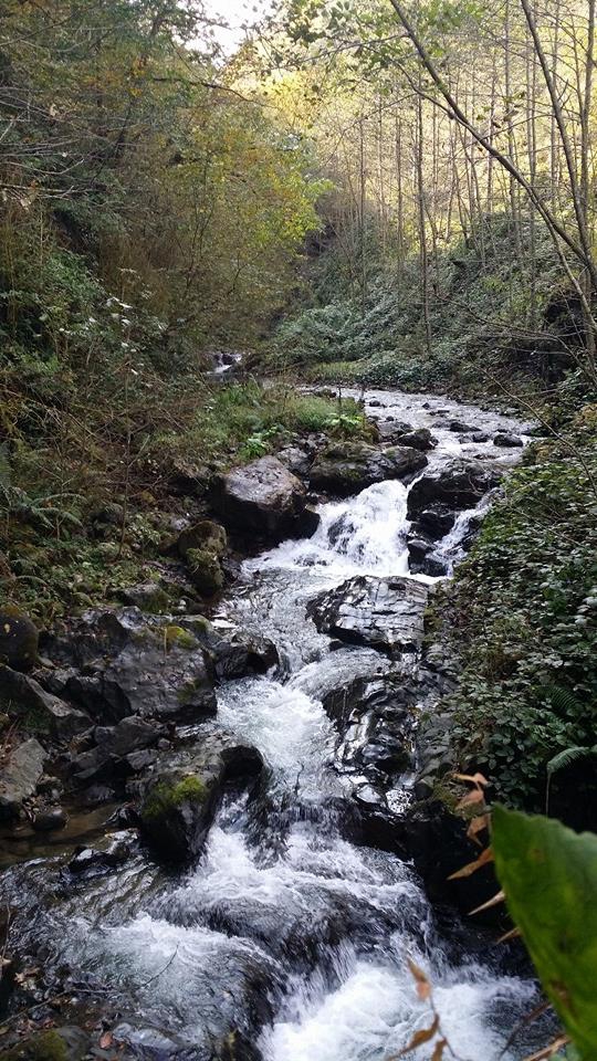 Dernekpazarı Taşçılar Köyü Resimleri 18