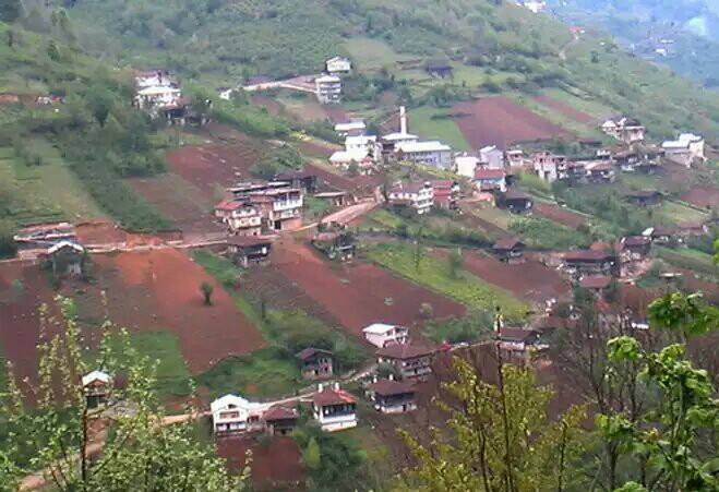 Dernekpazarı Taşçılar Köyü Resimleri 19