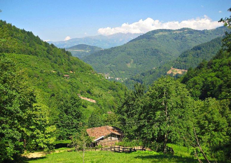 Dernekpazarı Taşçılar Köyü Resimleri 20