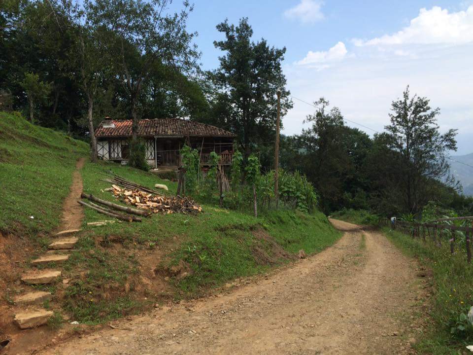 Dernekpazarı Taşçılar Köyü Resimleri 21
