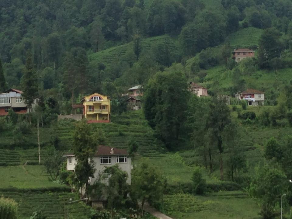 Dernekpazarı Taşçılar Köyü Resimleri 22