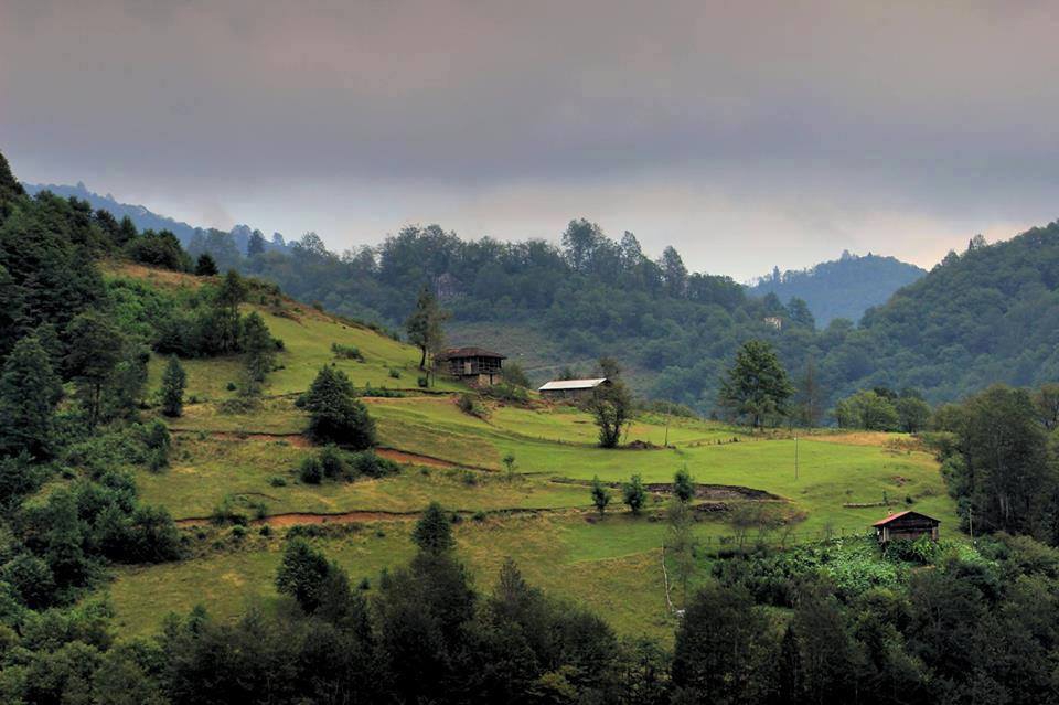 Dernekpazarı Taşçılar Köyü Resimleri 23