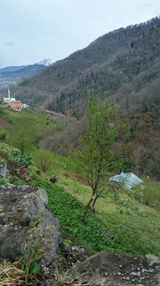 Dernekpazarı Taşçılar Köyü Resimleri 24