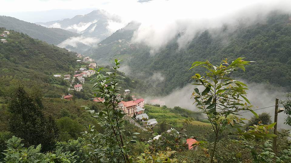 Dernekpazarı Taşçılar Köyü Resimleri 25