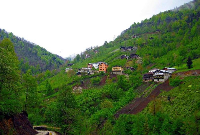 Dernekpazarı Taşçılar Köyü Resimleri 26