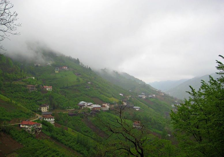 Dernekpazarı Taşçılar Köyü Resimleri 27