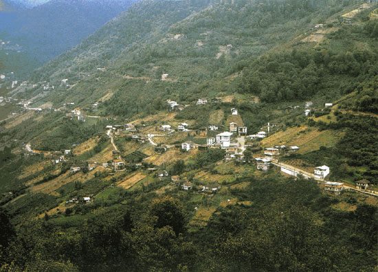 Dernekpazarı Taşçılar Köyü Resimleri 28