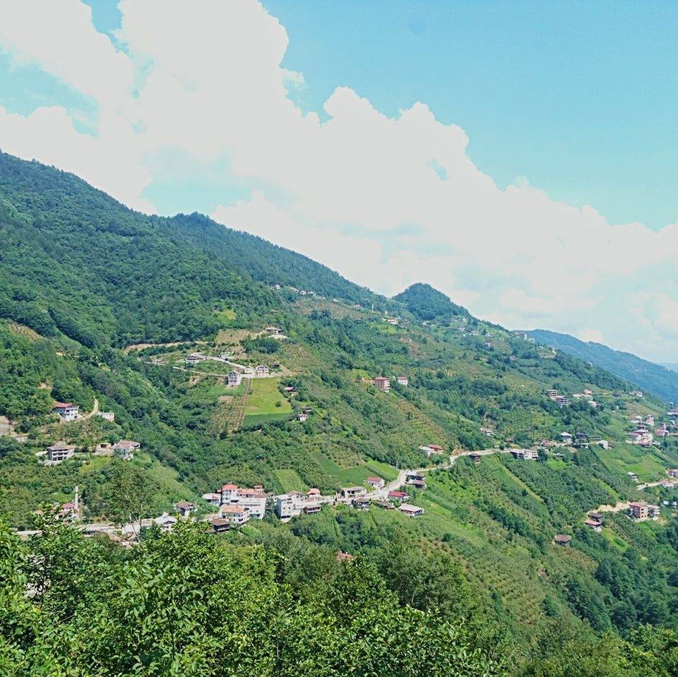 Dernekpazarı Taşçılar Köyü Resimleri 29