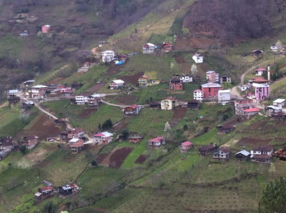 Dernekpazarı Taşçılar Köyü Resimleri 3