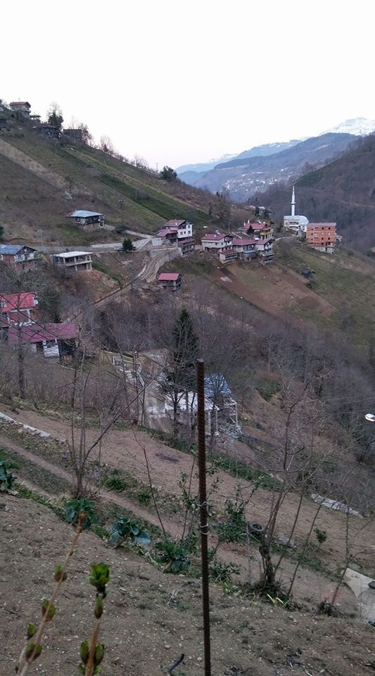 Dernekpazarı Taşçılar Köyü Resimleri 30