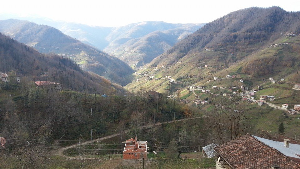 Dernekpazarı Taşçılar Köyü Resimleri 32