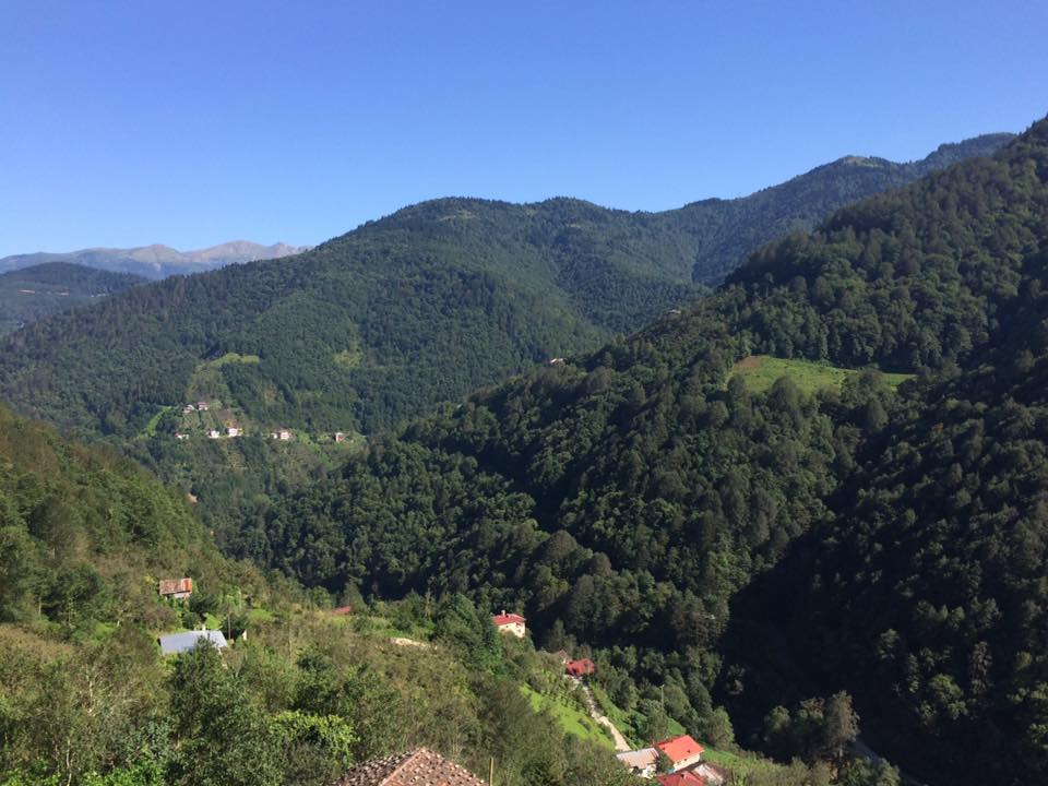 Dernekpazarı Taşçılar Köyü Resimleri 33