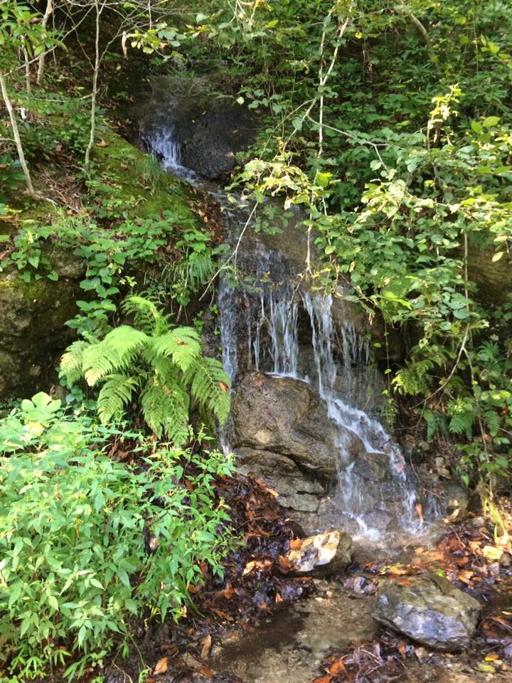 Dernekpazarı Taşçılar Köyü Resimleri 4