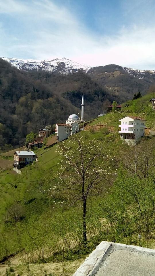 Dernekpazarı Taşçılar Köyü Resimleri 5