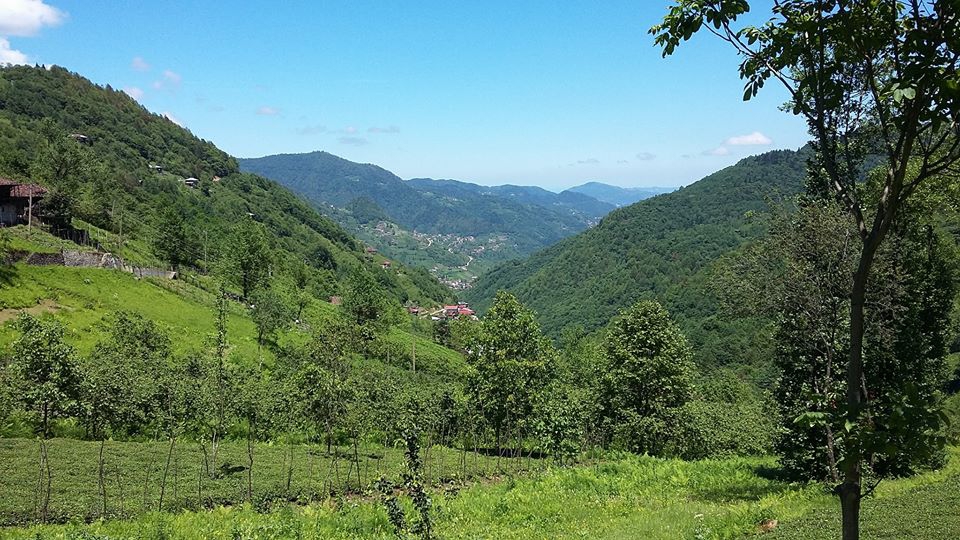 Dernekpazarı Taşçılar Köyü Resimleri 6