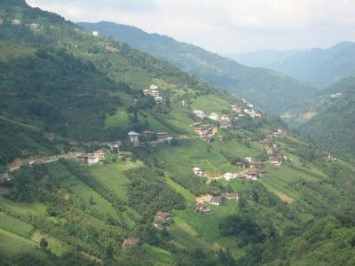 Dernekpazarı Taşçılar Köyü Resimleri 7
