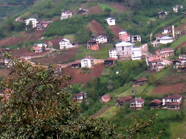 Dernekpazarı Taşçılar Köyü Resimleri 8