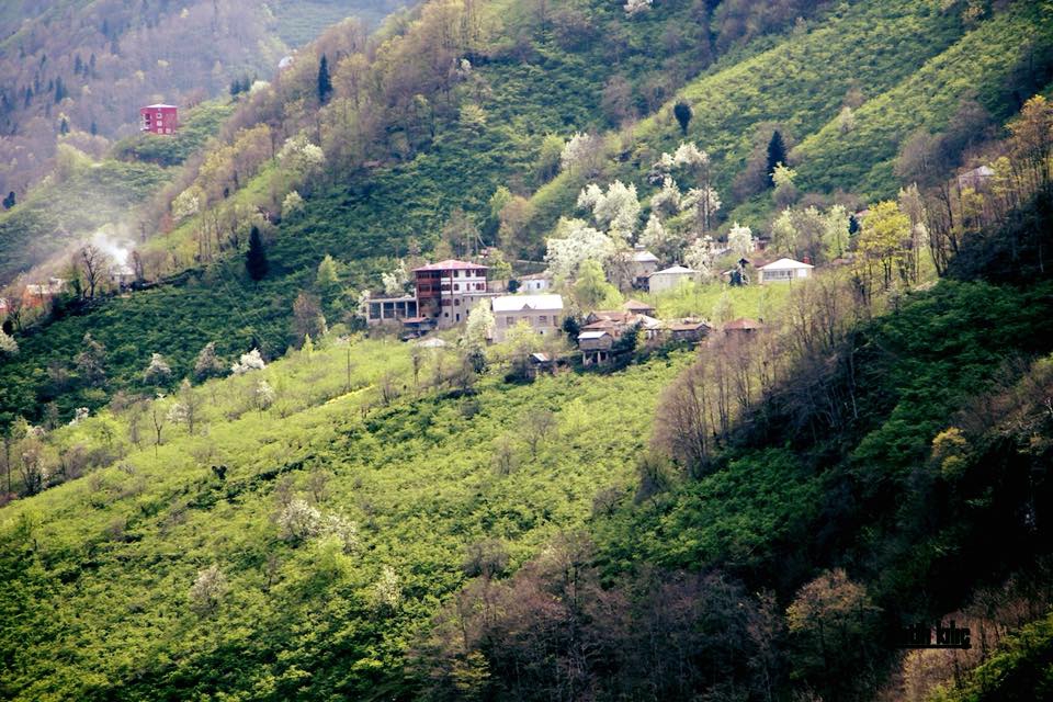 Giresun Sıvacı Köyü Resimleri 15