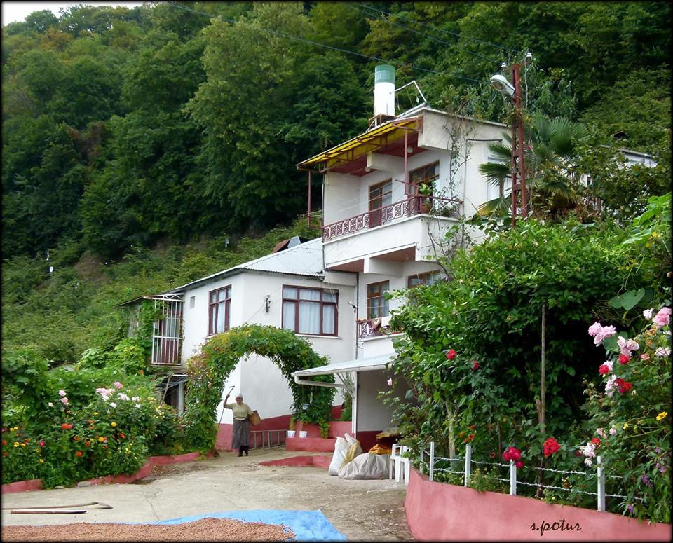 Giresun Uzgur Köyü Resimleri 1