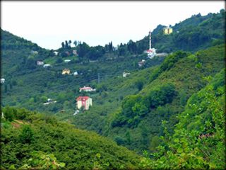 Giresun Uzgur Köyü Resimleri 4