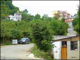 Giresun Uzgur Köyü Resimleri 5