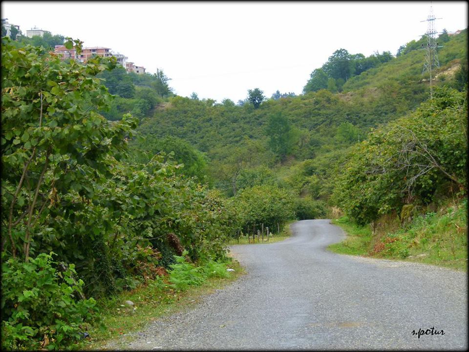 Giresun Uzgur Köyü Resimleri 7