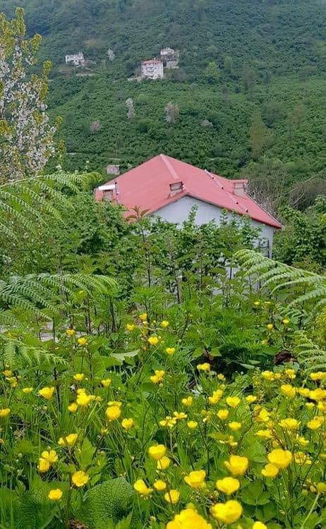 Giresun Uzgur Köyü Resimleri 9