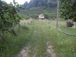 Akçakoca Dilaver Köyü Resimleri 3