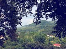 Akçakoca Dilaver Köyü Resimleri 5