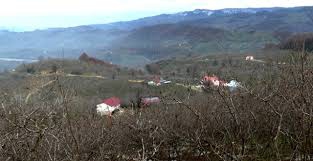 Akçakoca Dilaver Köyü Resimleri 8