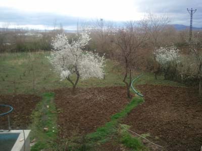 Elazığ Bahçekapı Köyü Resimleri 11