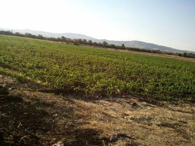 Elazığ Bahçekapı Köyü Resimleri 5